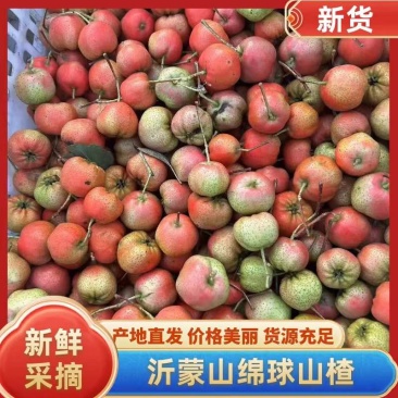 绵球山楂货源充足糖葫芦手选果量大从优有需要的老板欢迎联
