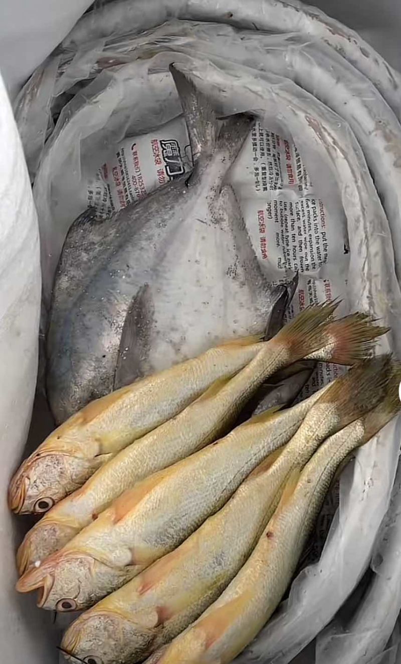 海鲜大礼包可以一件代发，码头直销