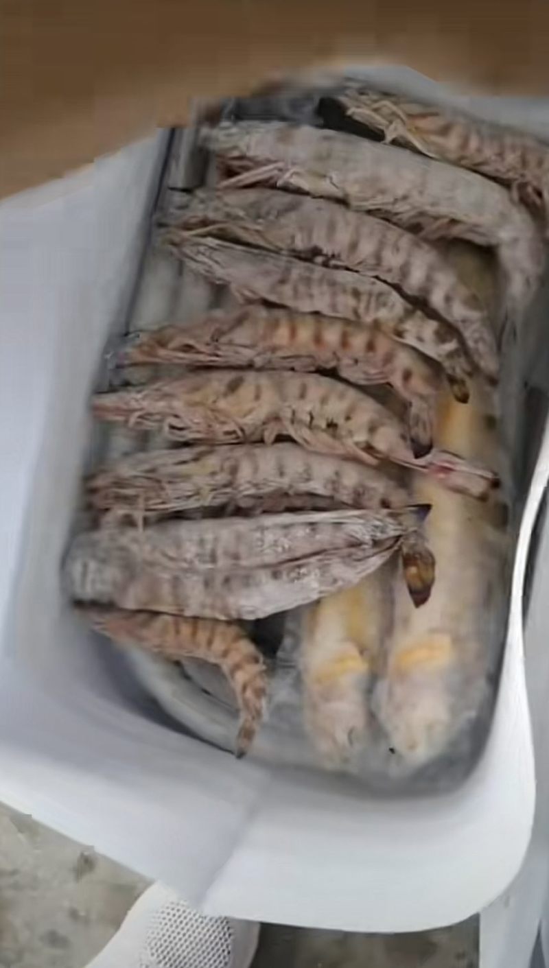 海鲜大礼包可以一件代发，码头直销