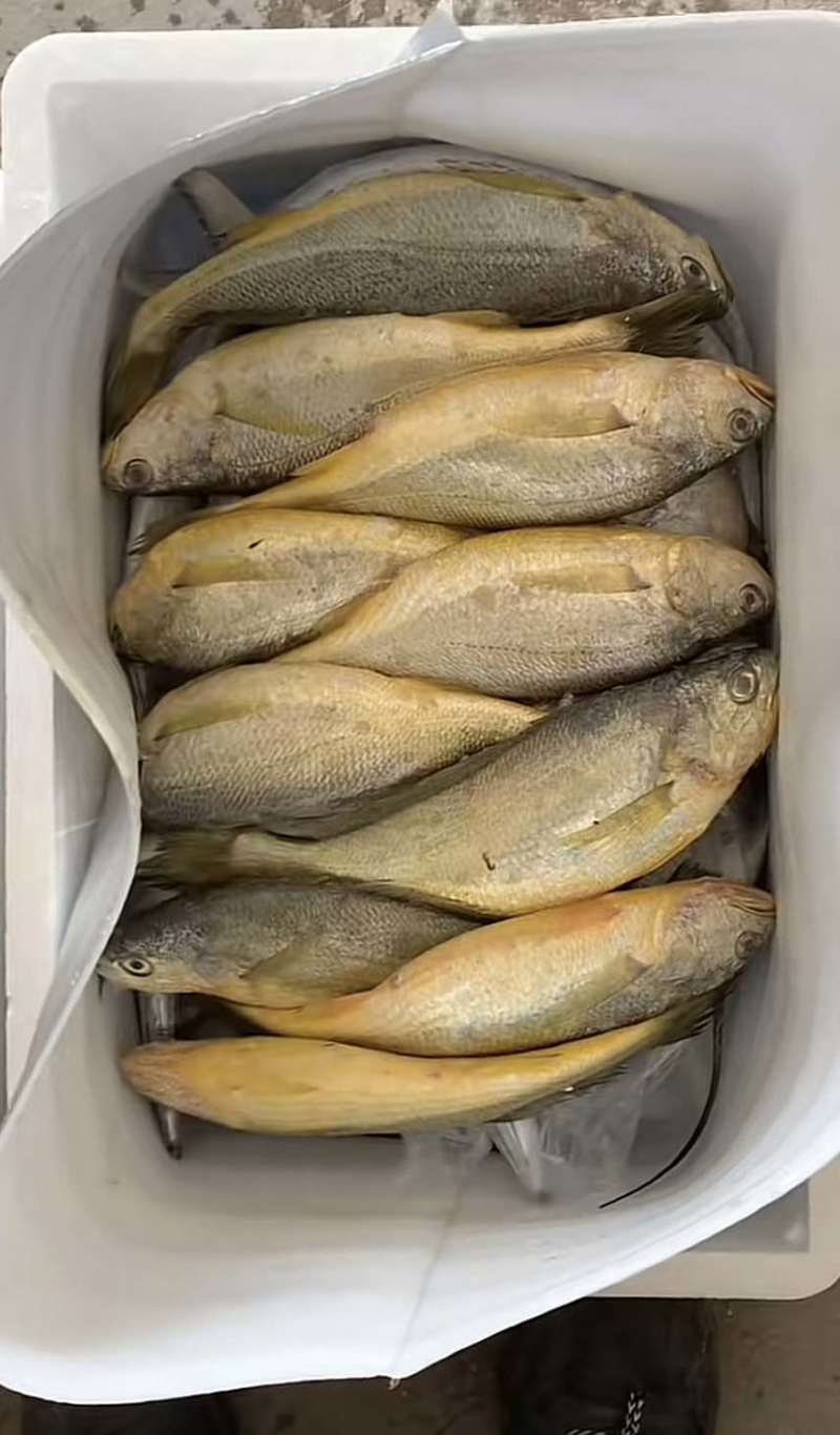 海鲜大礼包可以一件代发，码头直销