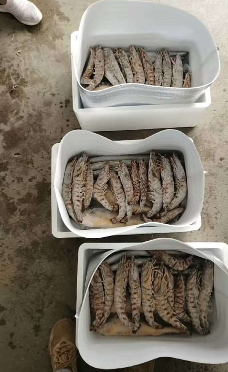 海鲜大礼包可以一件代发，码头直销