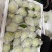 红心番石榴（芭乐）
