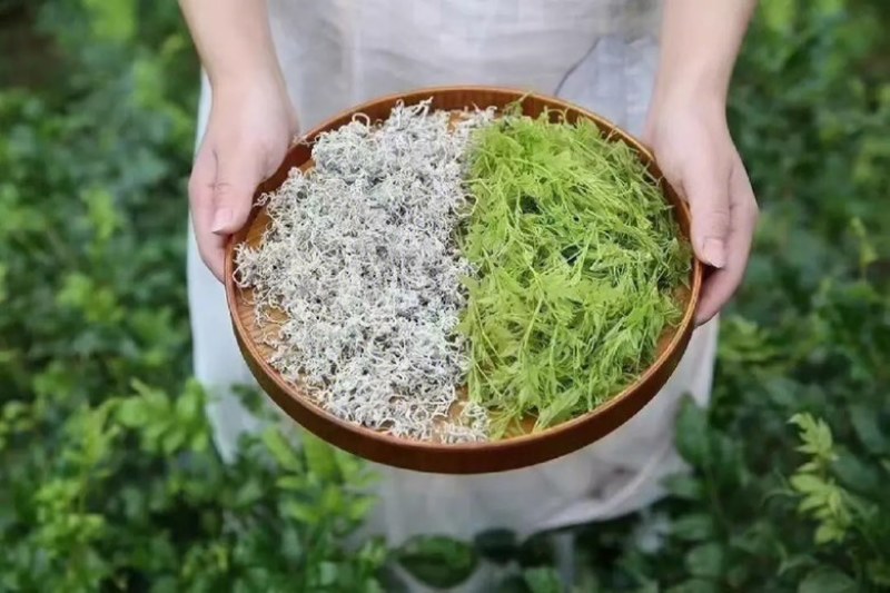 莓茶
