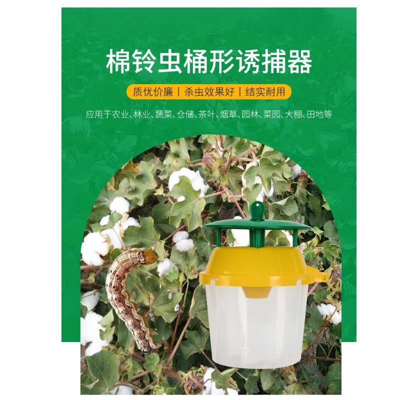 棉铃虫不捕捉器