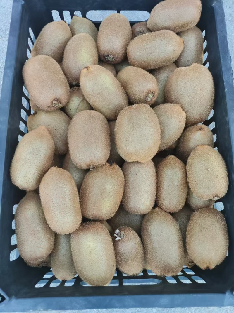 绿心猕猴桃🥝