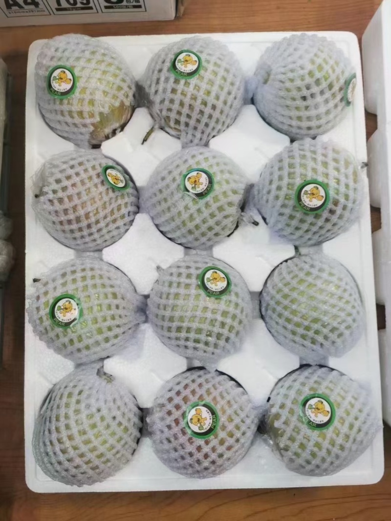 山西省隰县玉露香梨