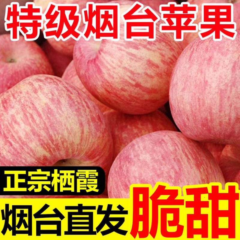 【正宗烟台苹果】山东栖霞红富士苹果脆冰糖心新鲜水果批发一整箱
