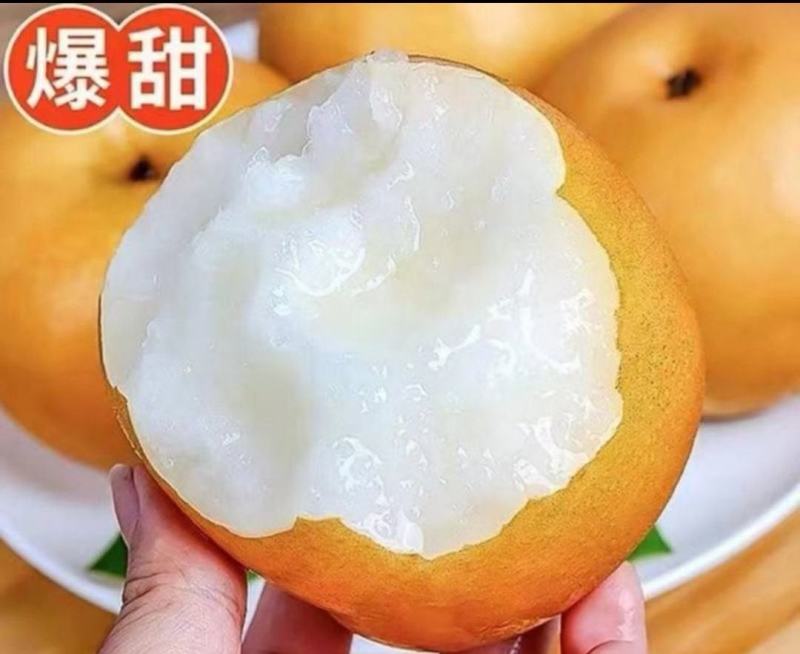 大连瓦房店秋月梨