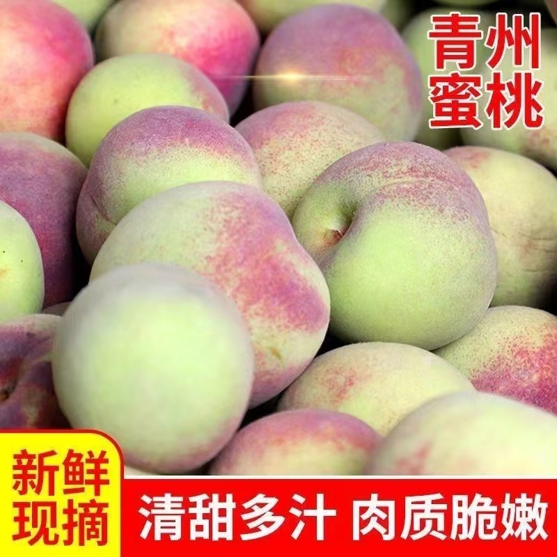 山东产地精品沂蒙山冬桃大量上市货源充足一条龙服务产地直发