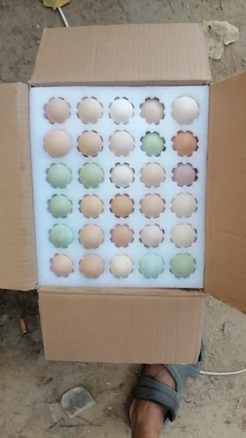 鸡蛋批发