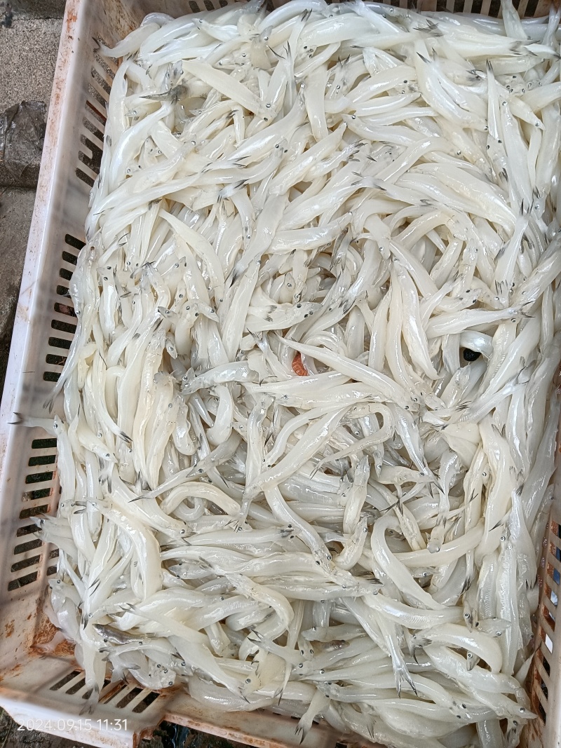 假期实测质量。
