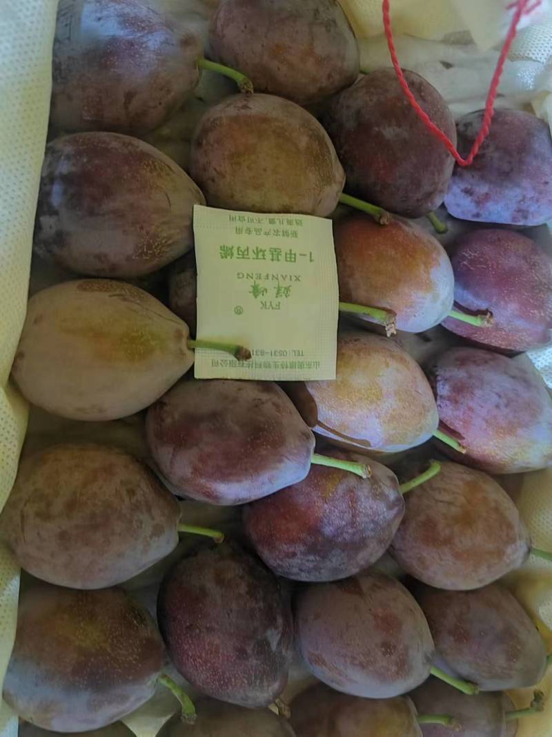 新疆喀什西梅