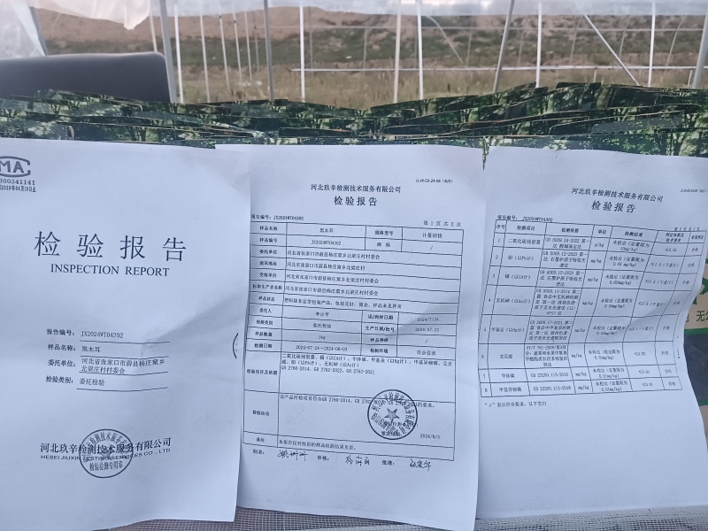 河北省张家口蔚县自产黑木耳