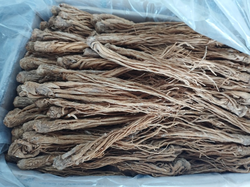 全国供应当归货源充足正品保障新鲜直供