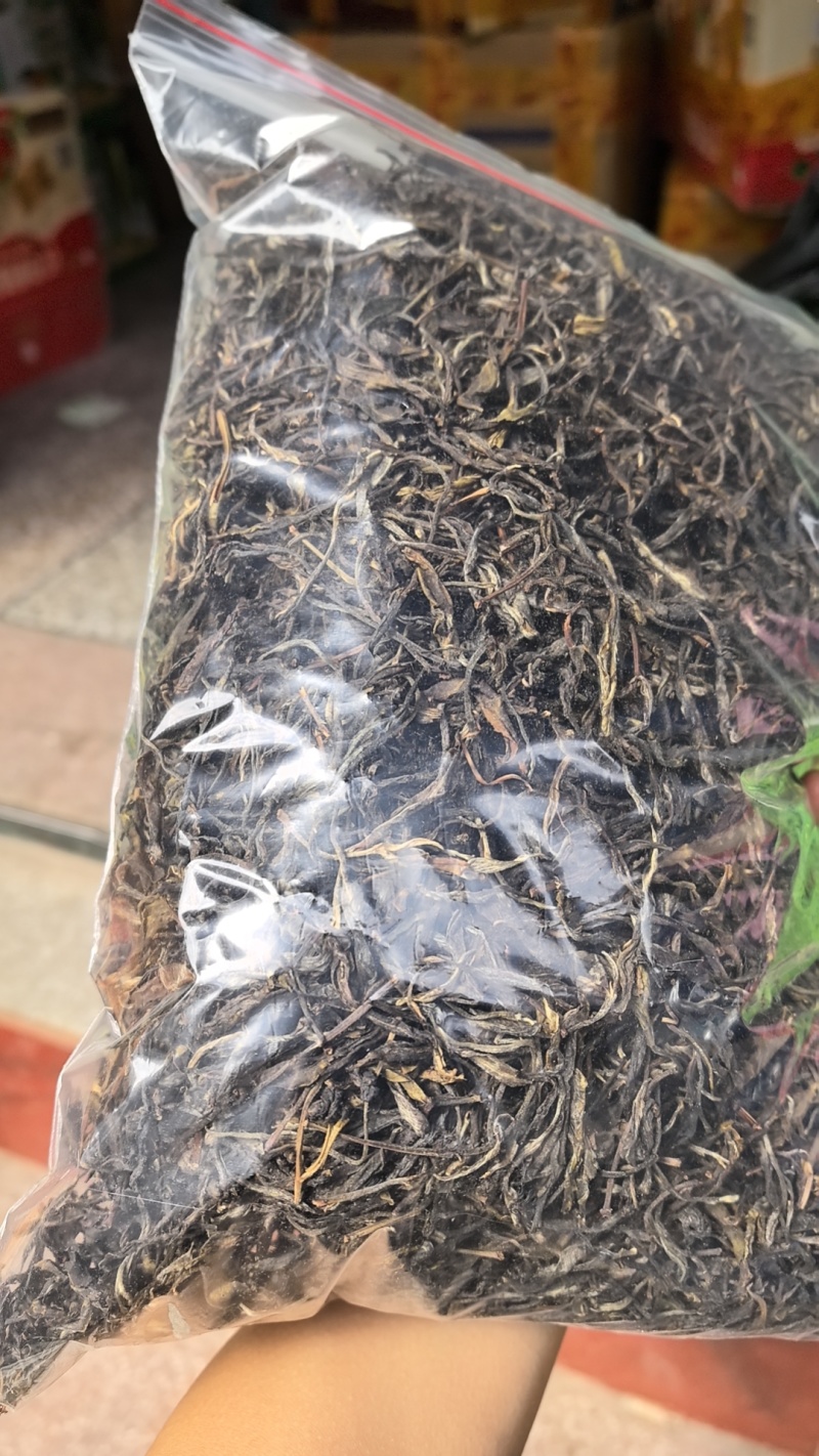 22年乔木头春散茶蜜兰香浓郁回甘强口粮拼配都可用
