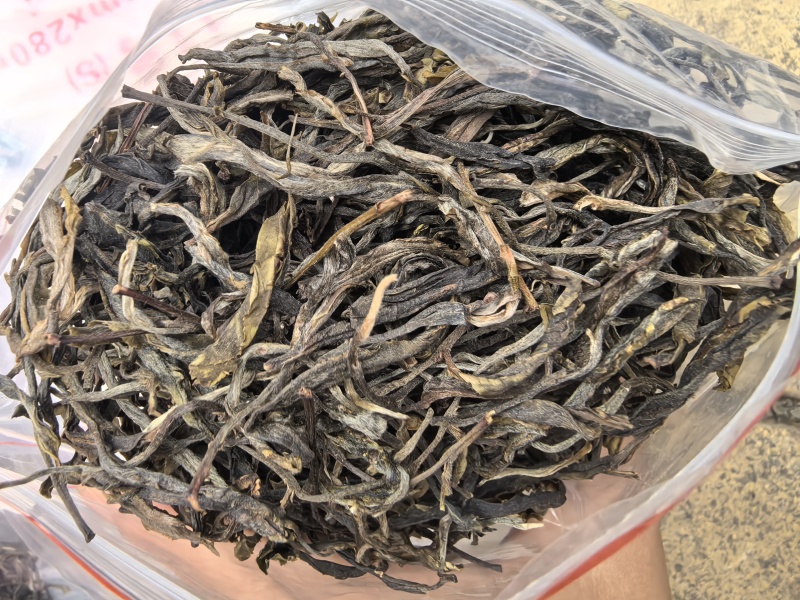 22年乔木头春散茶蜜兰香浓郁回甘强口粮拼配都可用