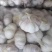 常年供应紫皮大蒜，电商社区团购4.5-6.0公分，代储存销售