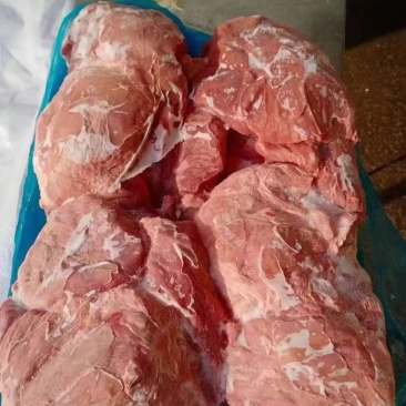 母猪四号肉