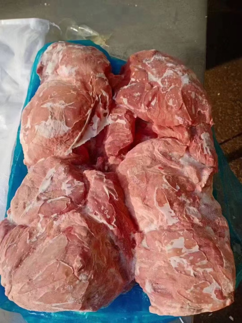 母猪四号肉