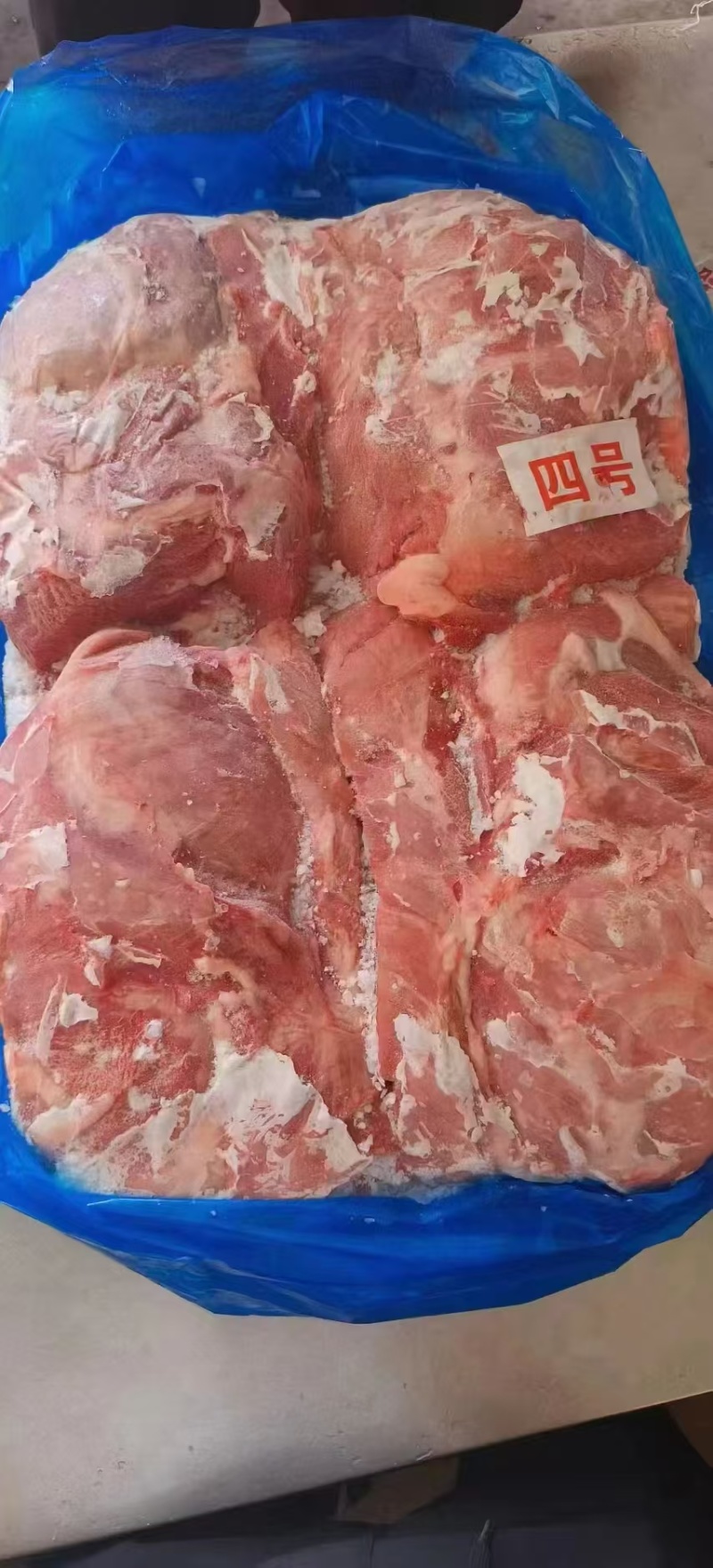 母猪四号肉