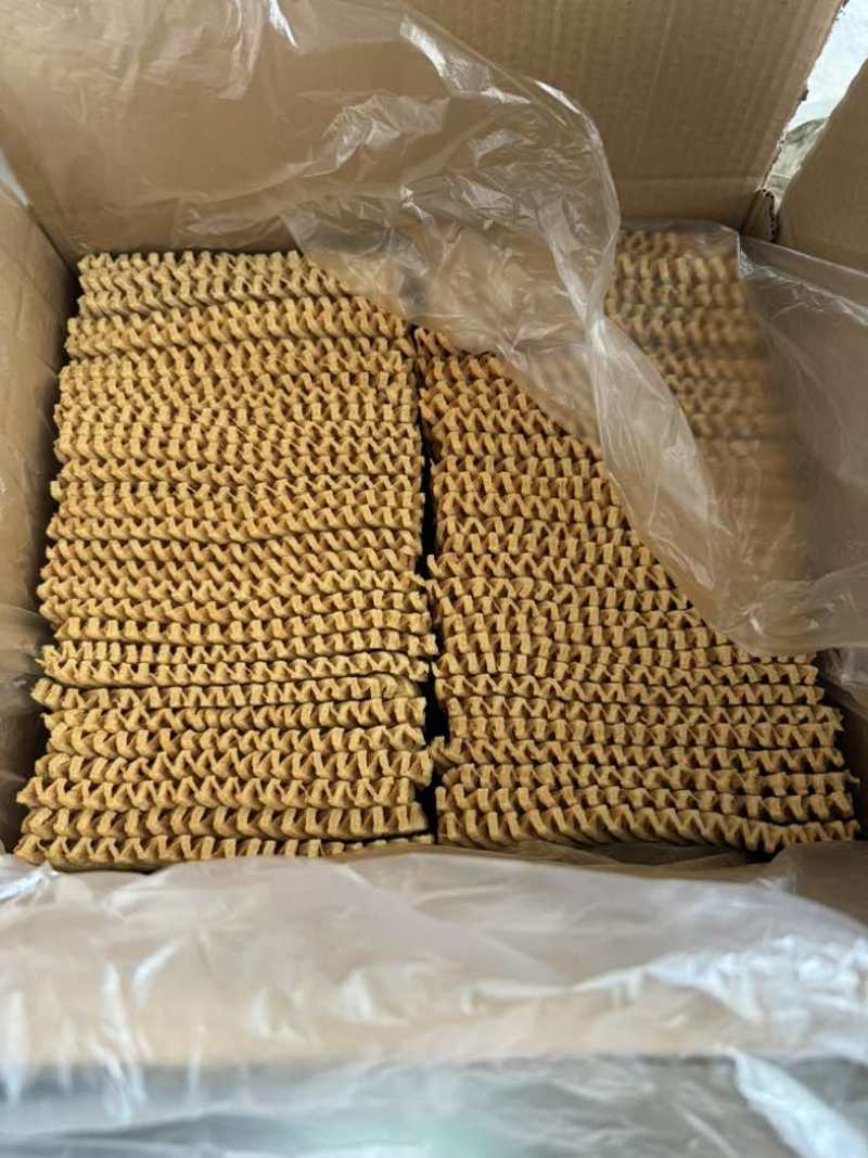 精品兰花干