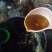 山茶油