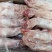青猪少肉口条（二精口条）
