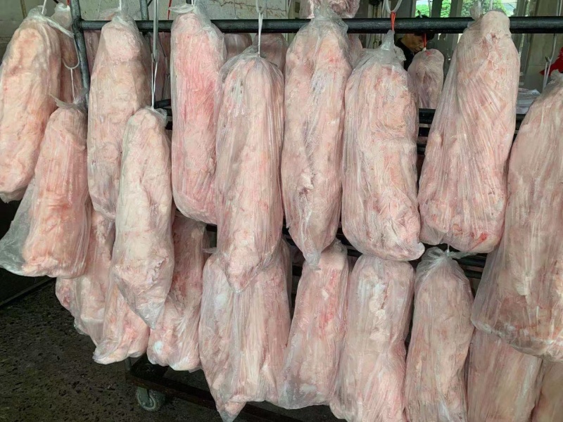 标猪抄码大板油