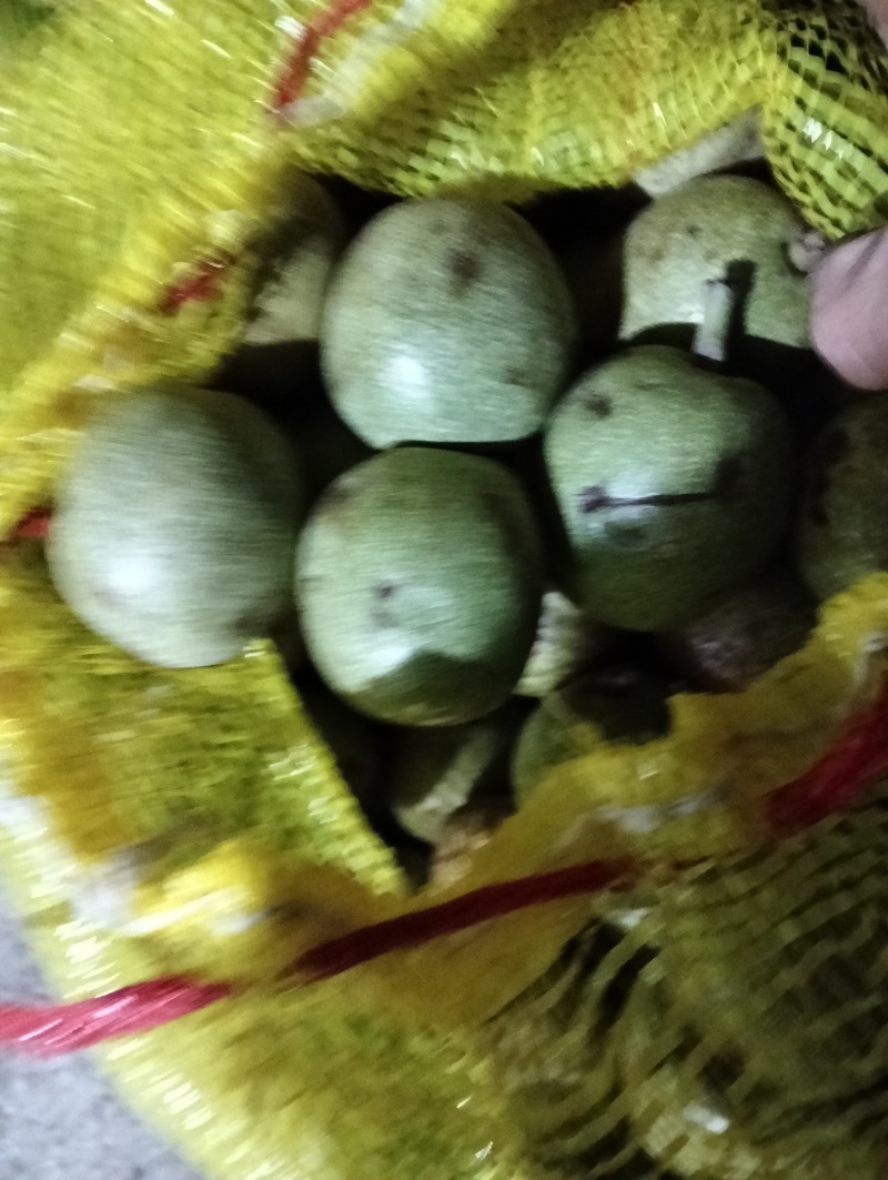 青皮核桃