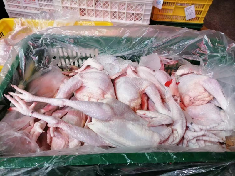 冰鲜三黄鸡，长期有货