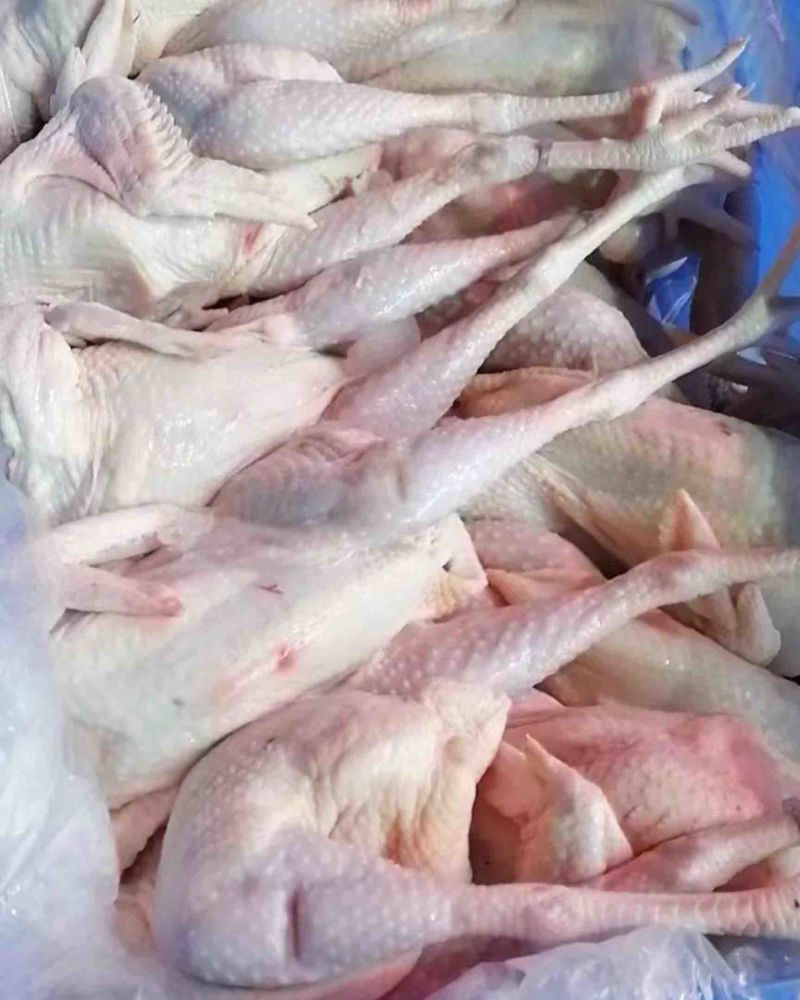 冰鲜三黄鸡，长期有货