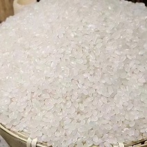 近三年陈米珍珠米