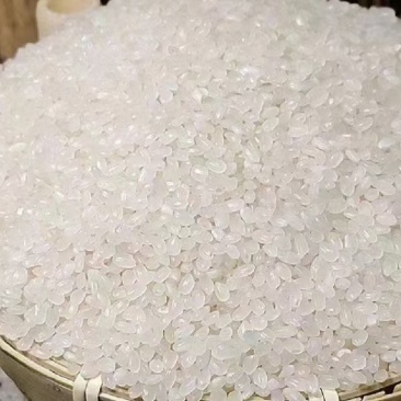 近三年陈米珍珠米