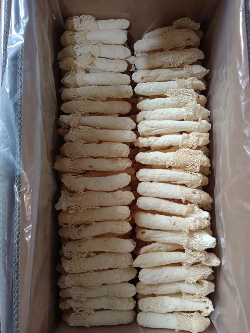 贵州红托竹荪