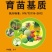 育苗基质营养土