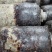 黄豆棉籽壳密环菌、种植天麻必用菌种品质优良
