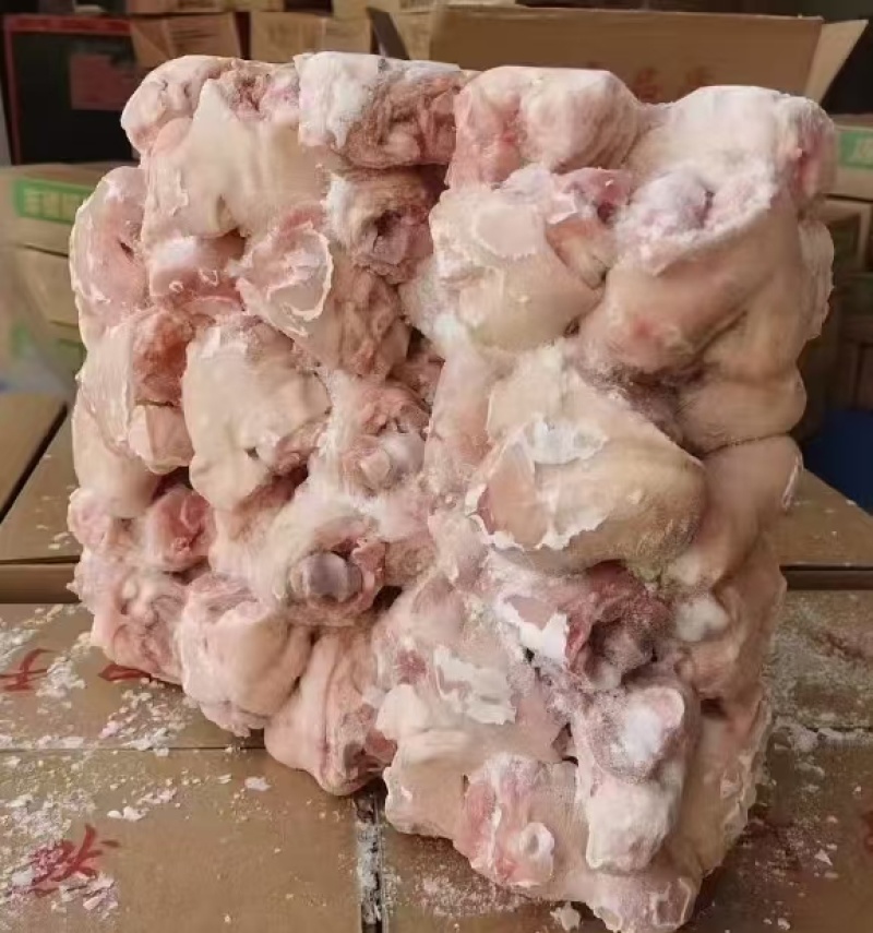 肘圈