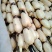 456大胖白，有需要的联系