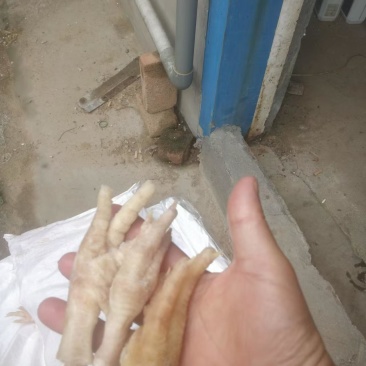 凤爪3吨鸡爪