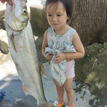 翘嘴