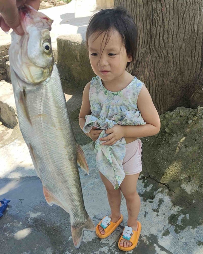 翘嘴