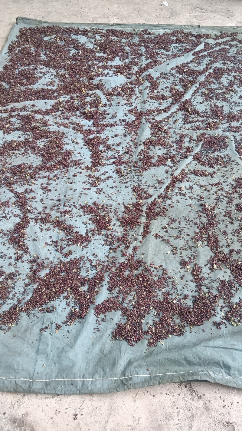 干红椒