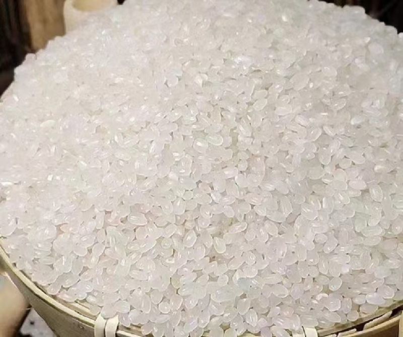 东北珍珠米价格低欢迎来聊