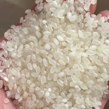 东北珍珠米价格低欢迎来聊