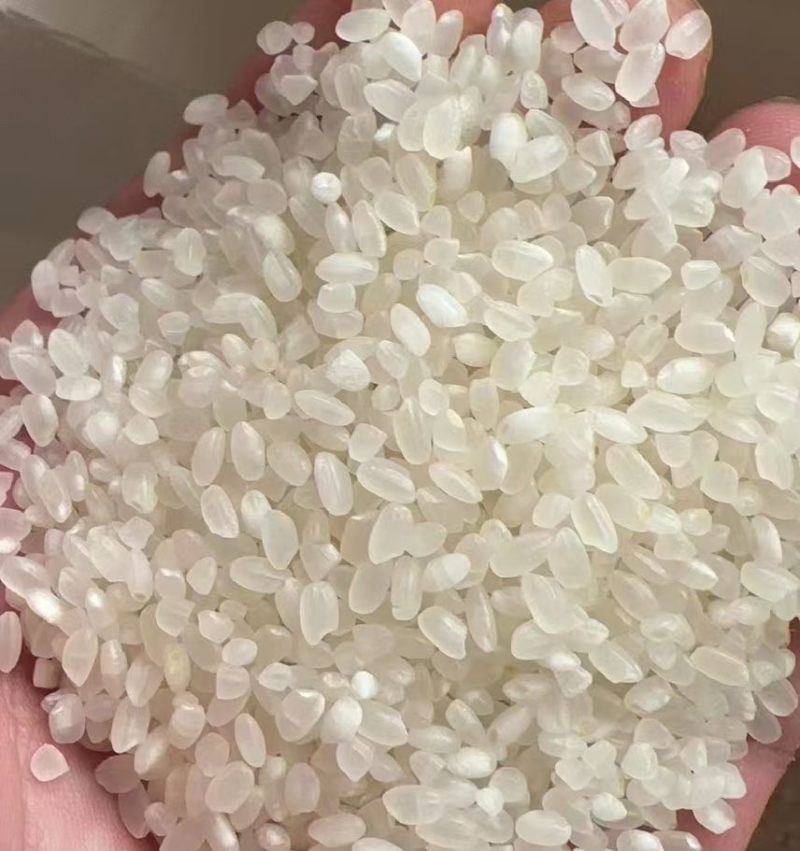 东北珍珠米价格低欢迎来聊