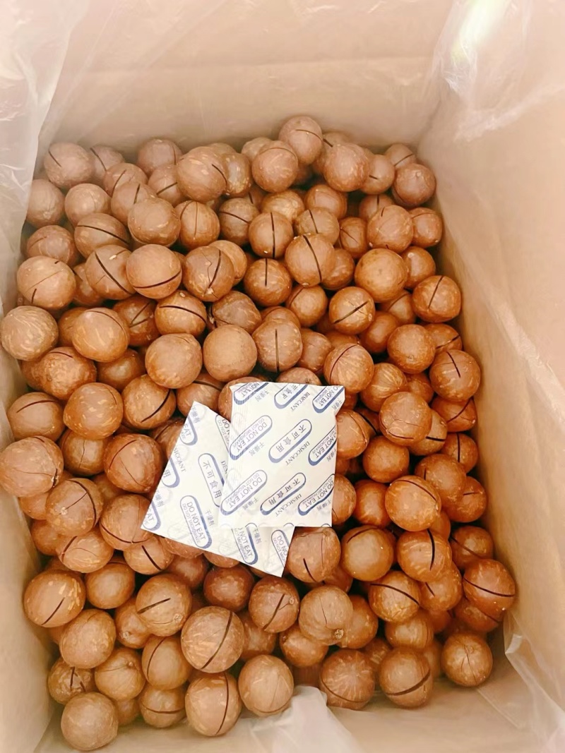 云南临沧夏威夷果，奶香味、原味