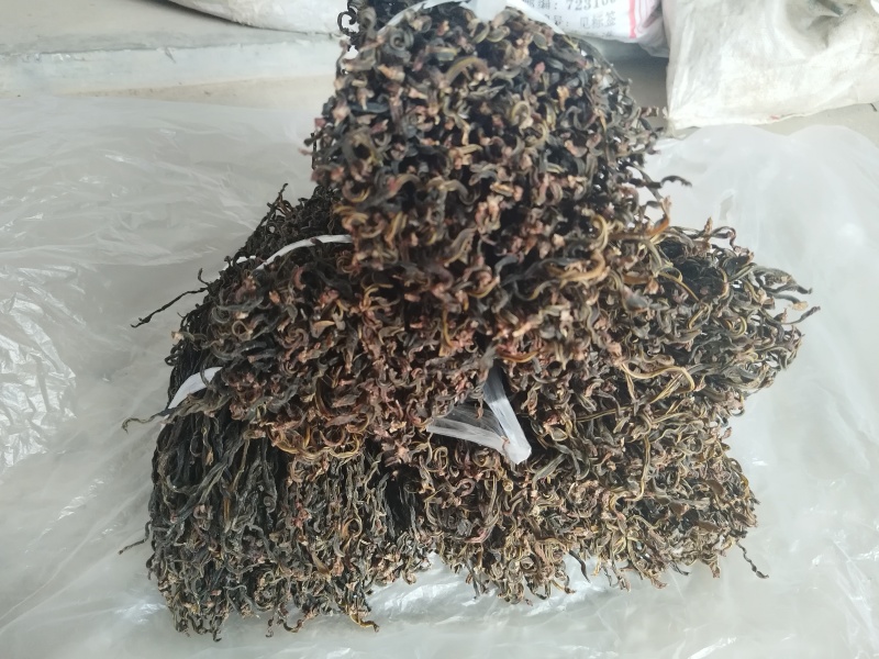 精品干豆角，产地直发大量有货，诚信卖家欢迎选购