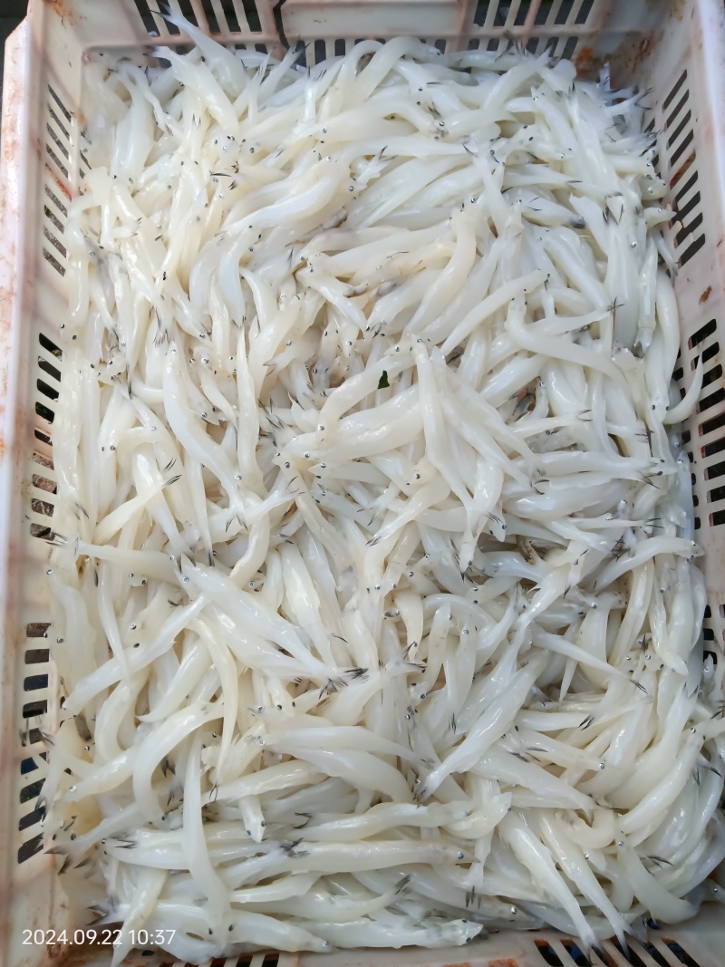 控水，过称，去皮。净重，质量。