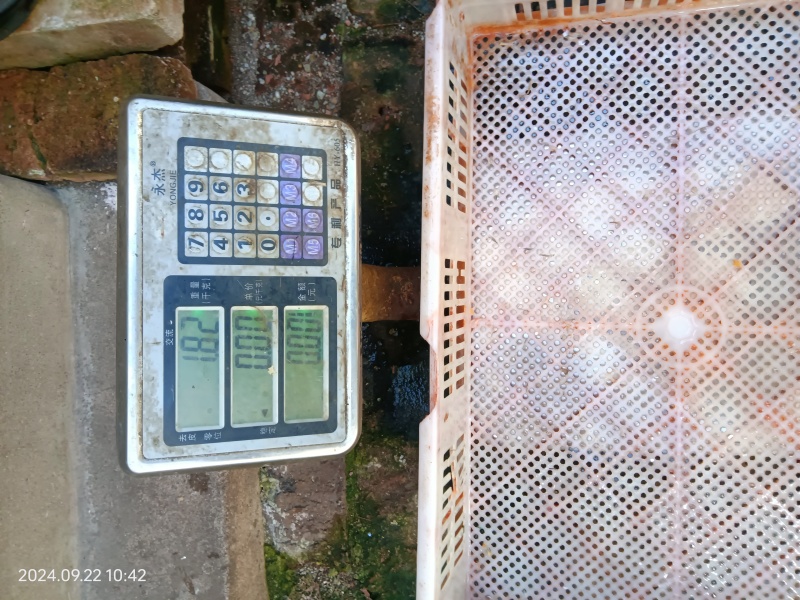 控水，过称，去皮。净重，质量。