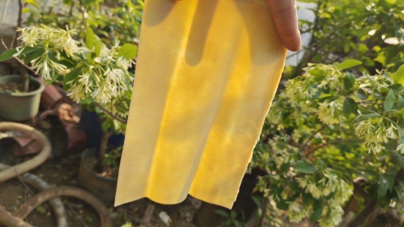 手工豆腐皮